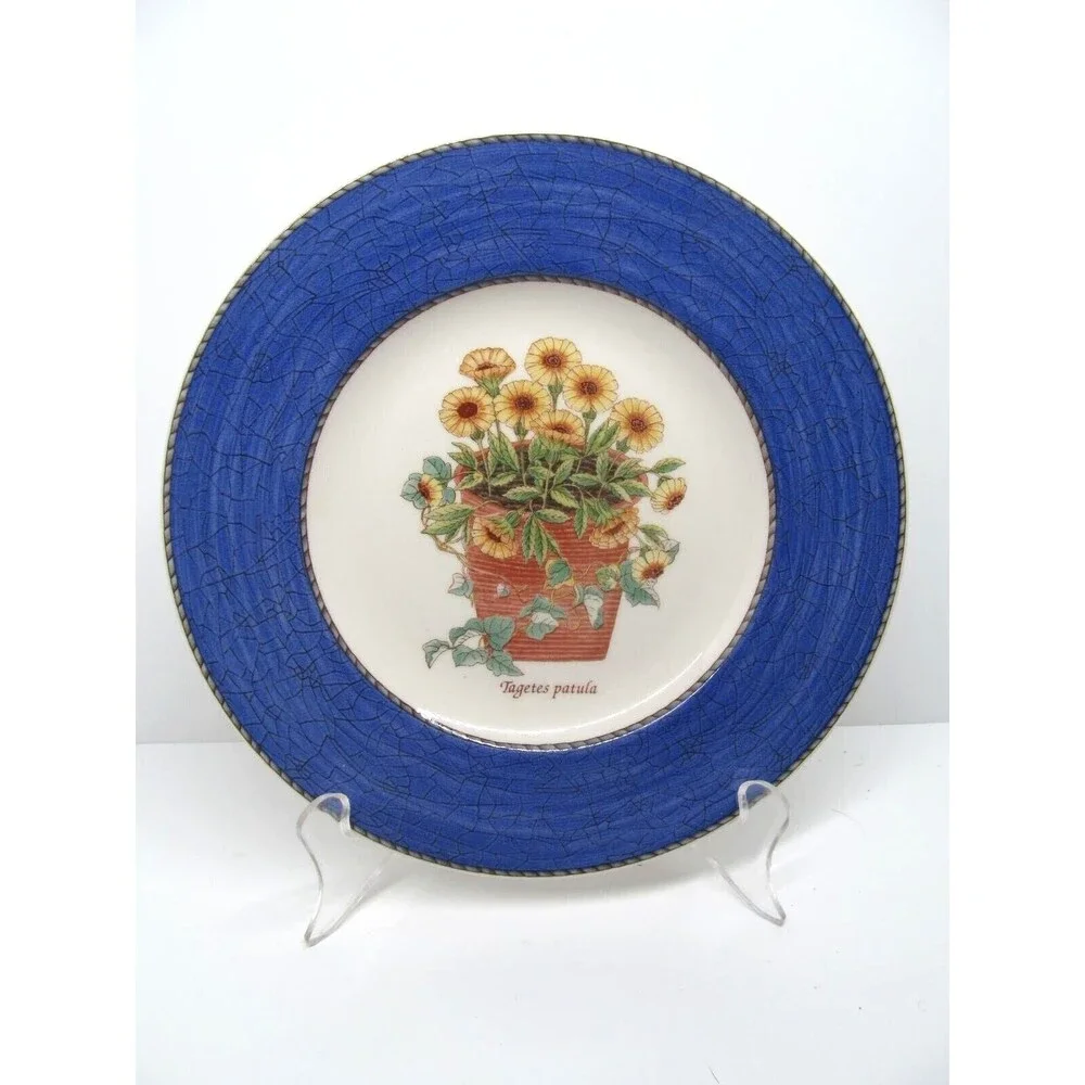 Wedgwood Queen's Ware England Sarah's Garden Tagetes patula Salad Plate 8